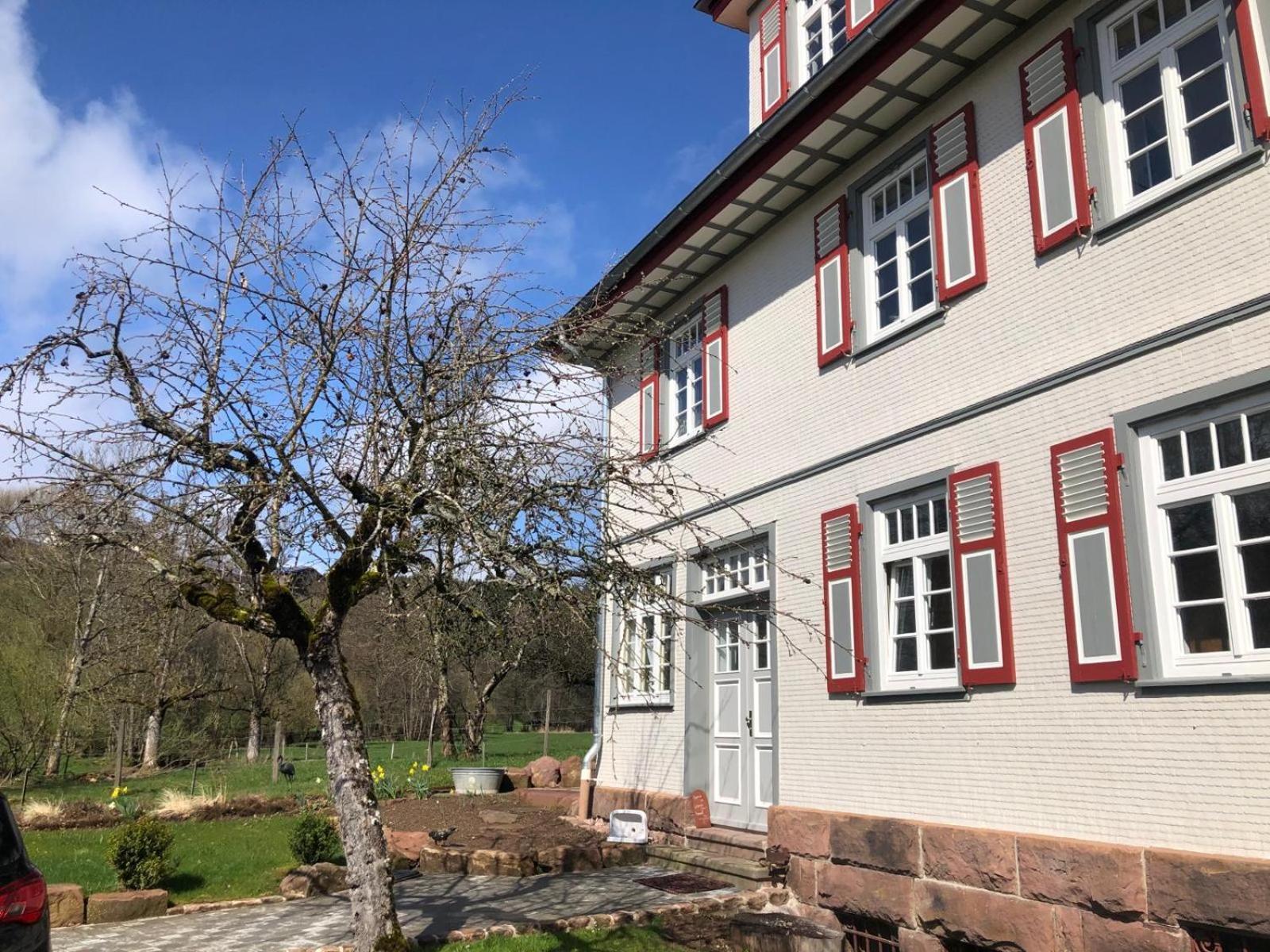 Ferienwohnung Am Stockerbach 弗罗伊登施塔特 外观 照片
